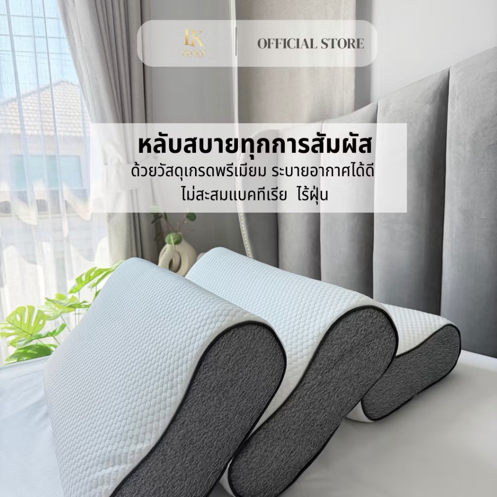 BLOOK Argo Pillow