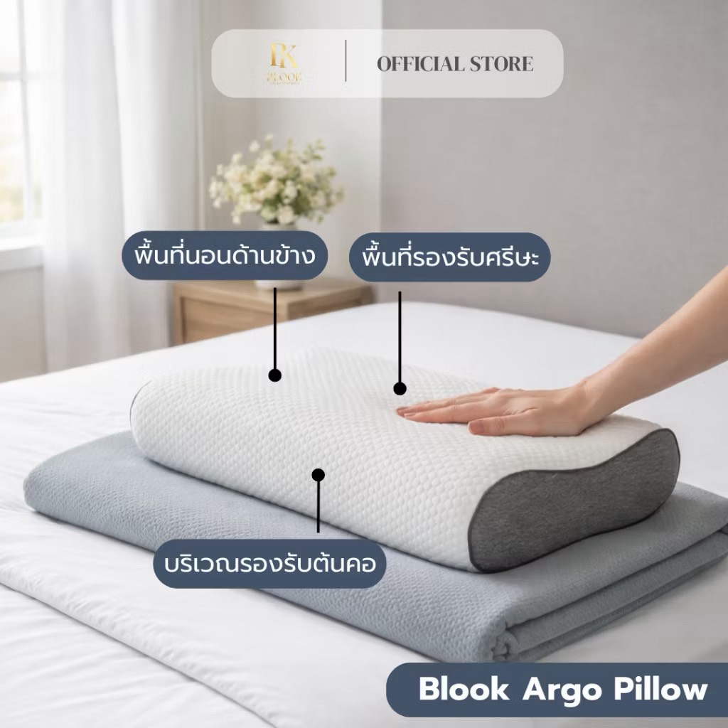 BLOOK Argo Pillow